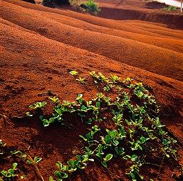 EA：迄今为止《FIFA23》玩家游戏总时长为157亿分钟